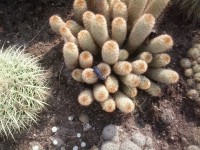 /album/rok-2012/a2012-03-24-14-14-02-jpg/